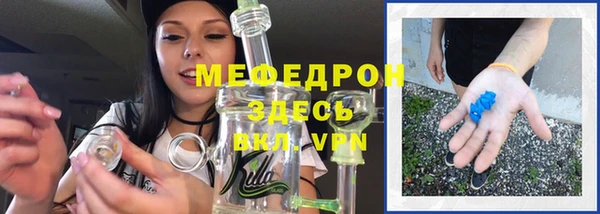 мдпв Инсар