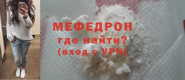 мдпв Инсар