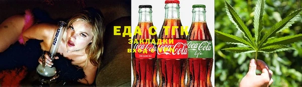 мдпв Инсар