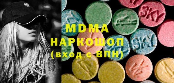мдпв Инсар