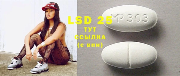 мдпв Инсар