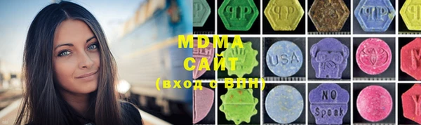 мдпв Инсар