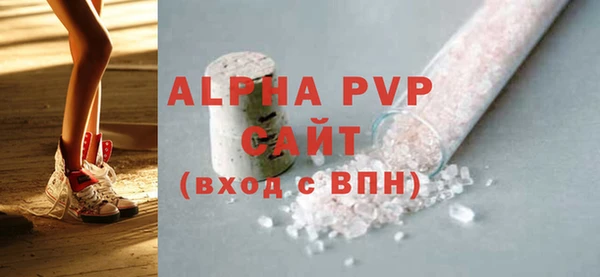мдпв Инсар