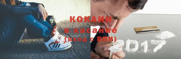 мдпв Инсар