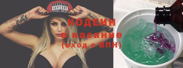 мдпв Инсар