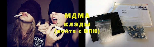 мдпв Инсар