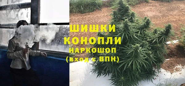 мдпв Инсар