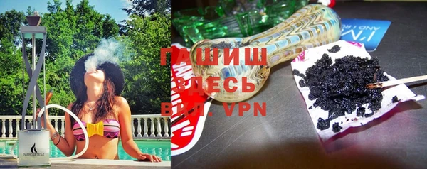 мдпв Инсар
