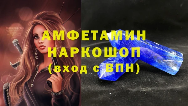 мдпв Инсар