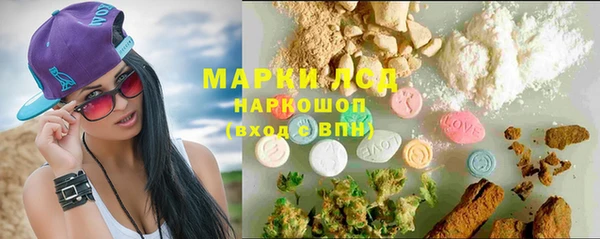 мяу мяу мука Инта
