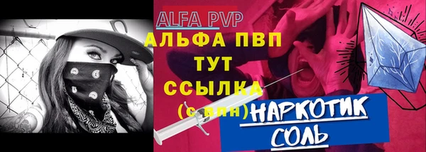 мдпв Инсар