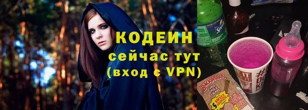 мдпв Инсар